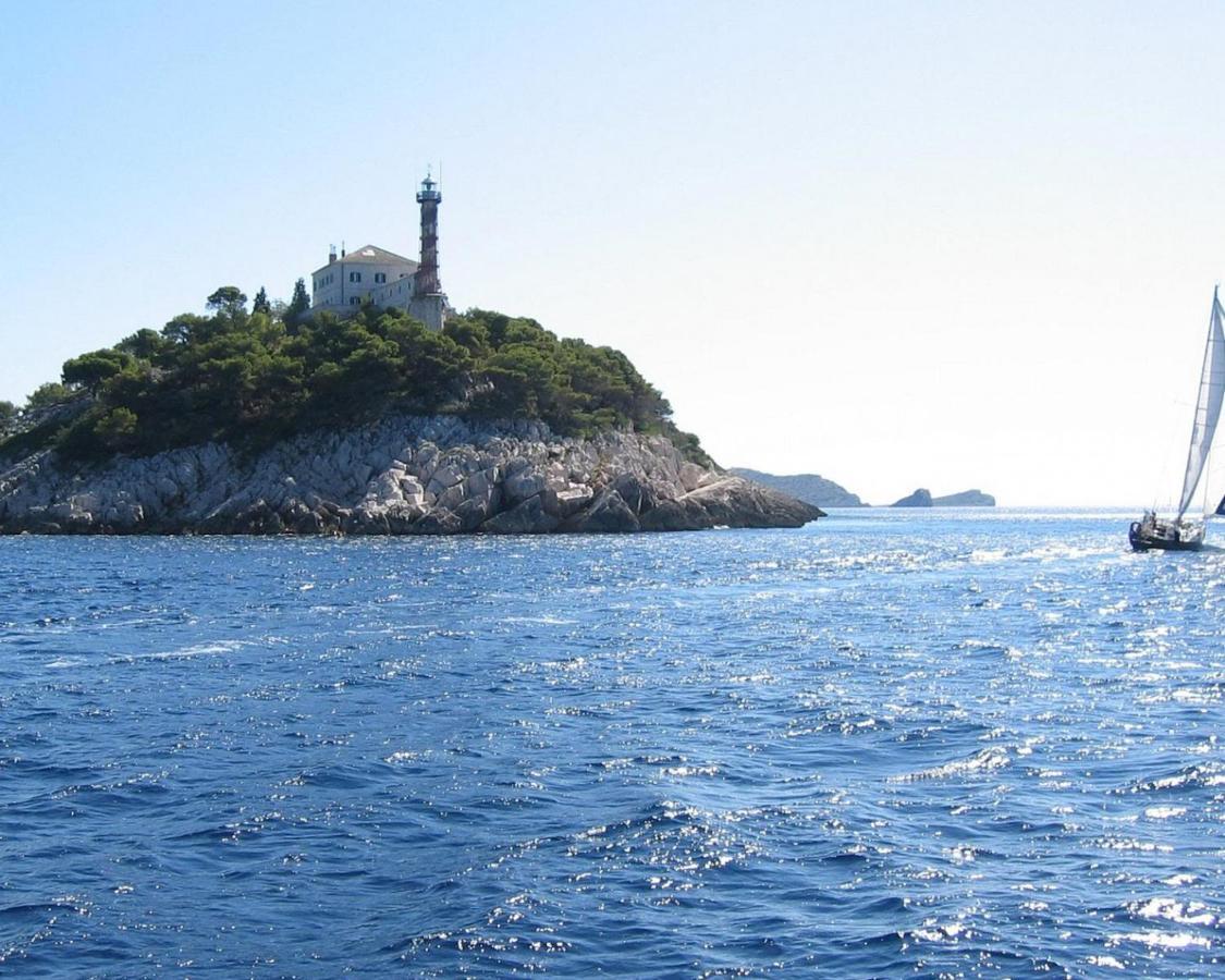 Villa Daja ビオグラード・ナ・モル エクステリア 写真